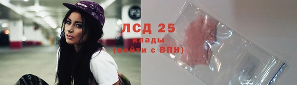 трава Аркадак